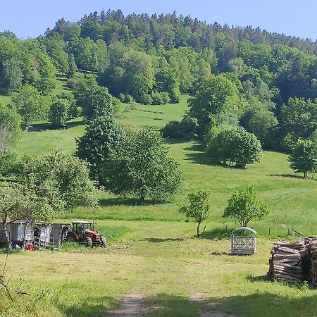 Les Studios Du Frankenthal Stosswihr Exteriör bild