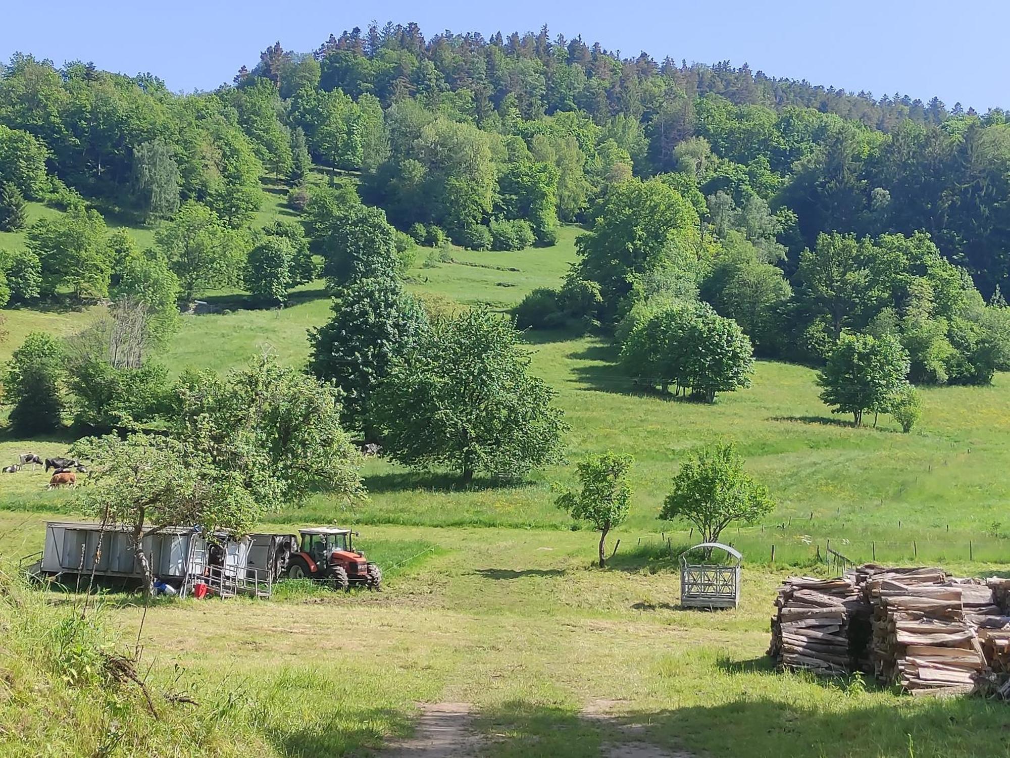 Les Studios Du Frankenthal Stosswihr Exteriör bild