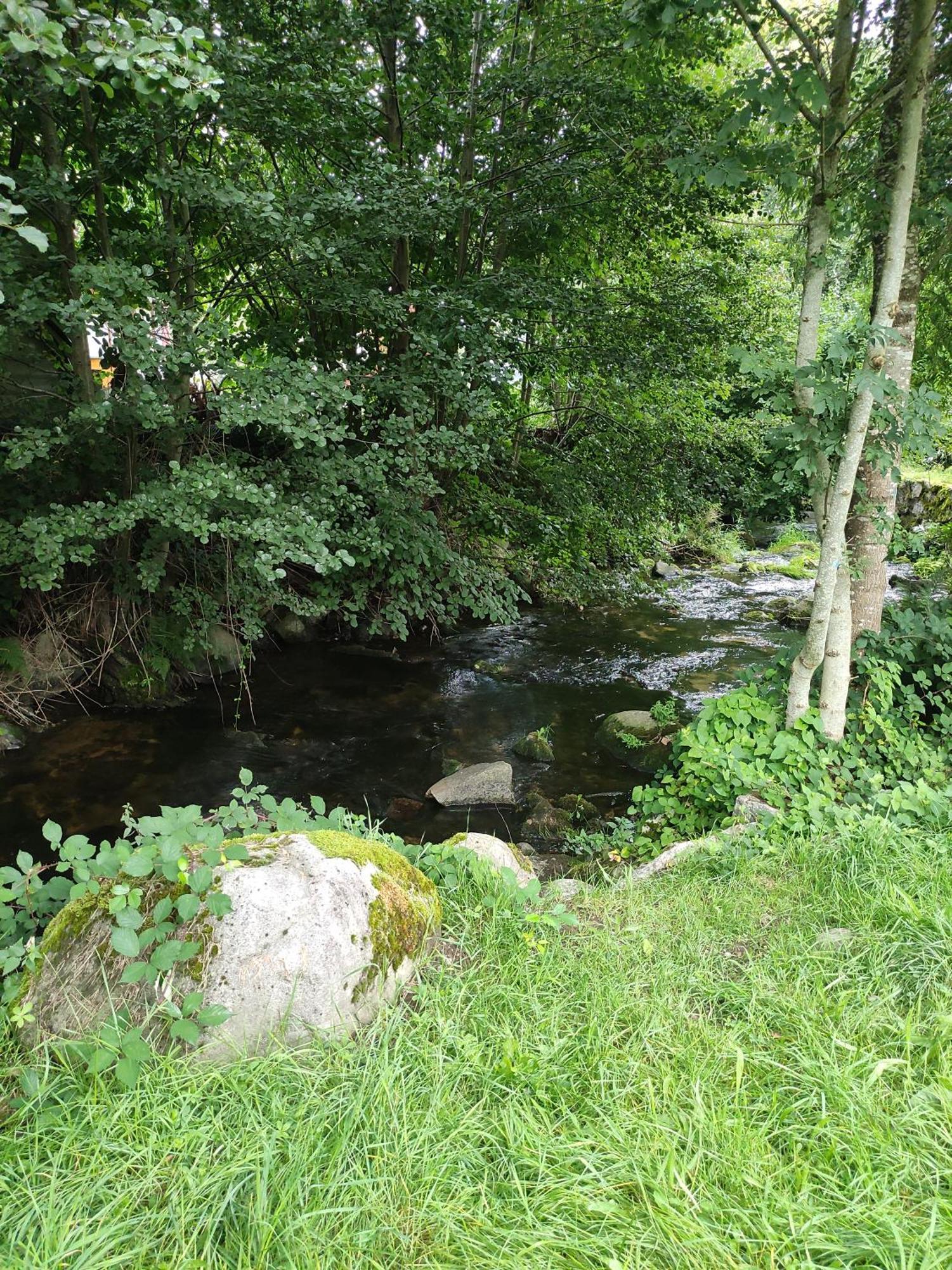 Les Studios Du Frankenthal Stosswihr Exteriör bild