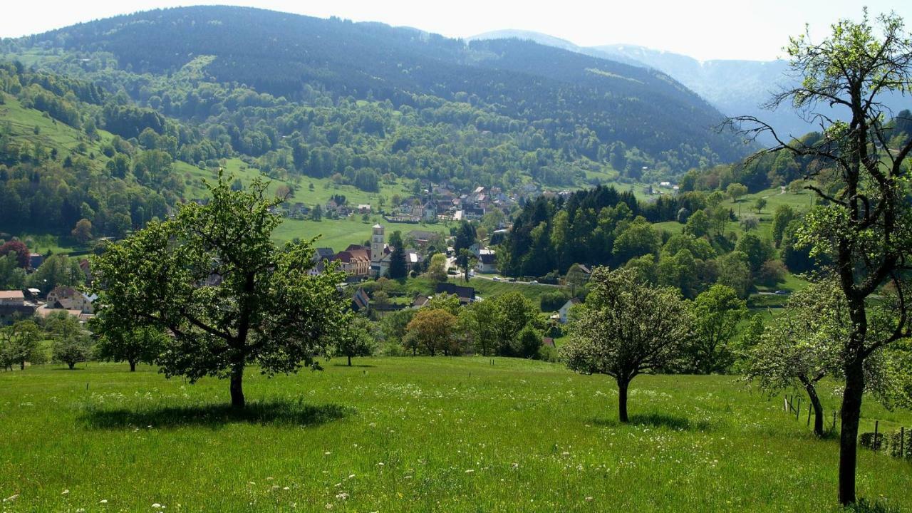 Les Studios Du Frankenthal Stosswihr Exteriör bild
