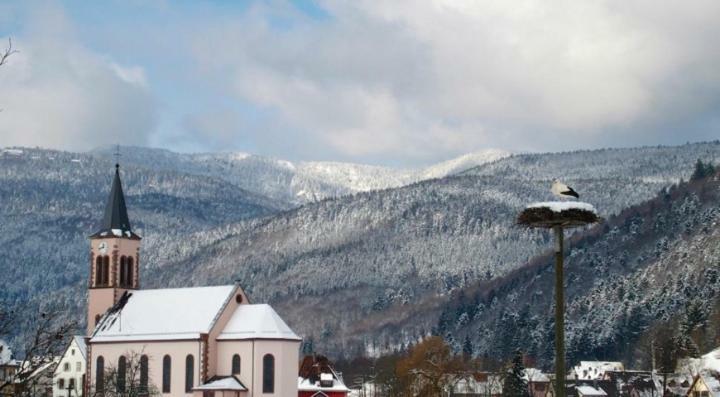 Les Studios Du Frankenthal Stosswihr Exteriör bild